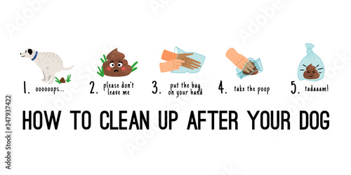 Dog poo clean up. Dogs poop pick up on bag steps infographics, pet toilet waste litter cleaning cartoon vector illustration