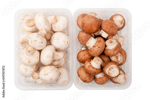 white and brown mushrooms
