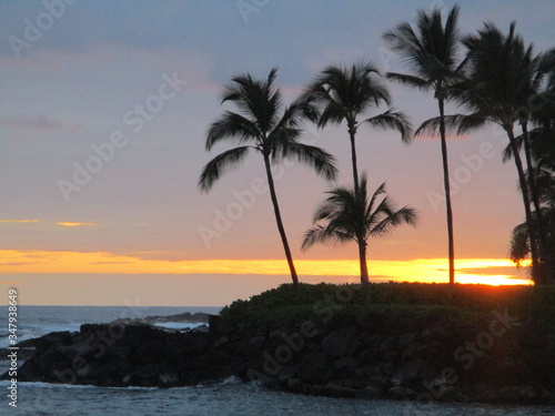 Sunset and Palm Trees at Kailua Bay Kona Hawaii