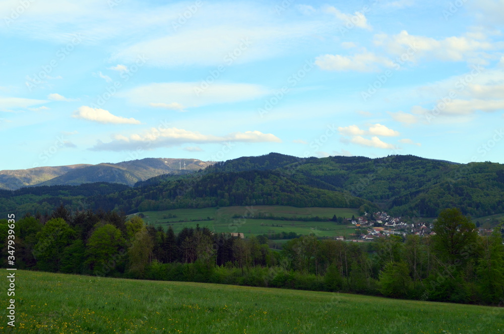 Blick vom Schönberg auf den Schwarzwald