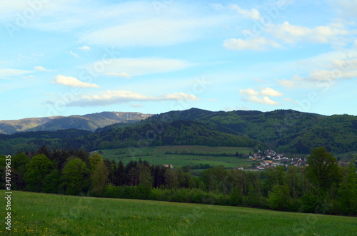 Blick vom Schönberg auf den Schwarzwald