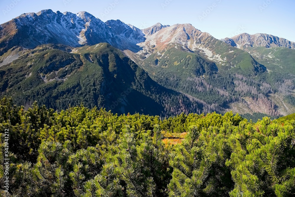 Fototapeta premium View from Volovec to the Rohac ridge with peaks: Tri Kopy 2,154 m above sea level, Hruba Kopa 2,166 m above sea level, Banikov 2,178 m above sea level, and Spalena 2,083 m above sea level.