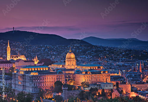 Buda Castle or Royal Palace in Budapest  Hungary