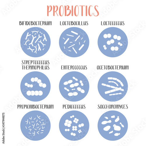 Probiotics. Lactic acid bacteria. Good bacteria and microorganisms for gut and intestinal flora health. Microbiome. Bifidobacterium, lactobacillus,  lactococcus, thermophilus streptococcus. Vector set