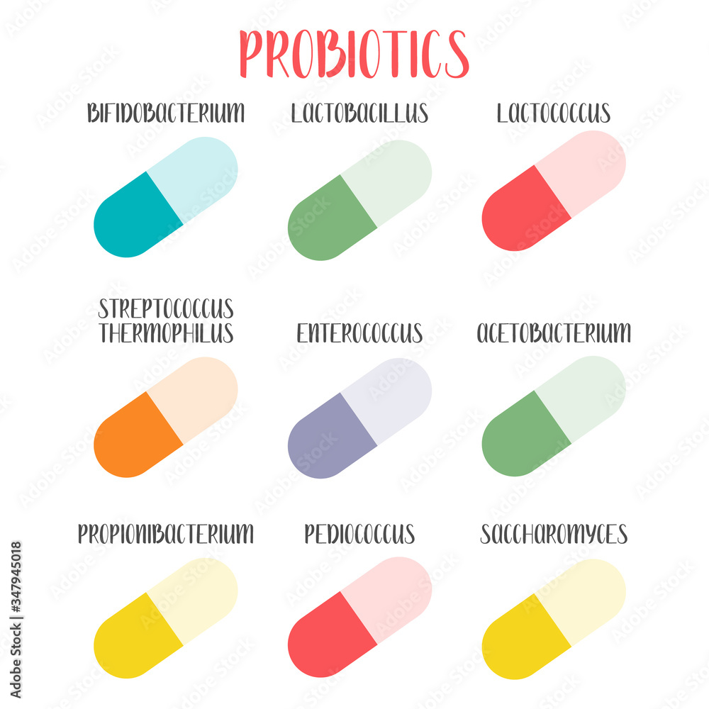 Useful Bacteria Examples Vetor do Stock: Probiotics. Lactic acid bacteria. Good bacteria and ...