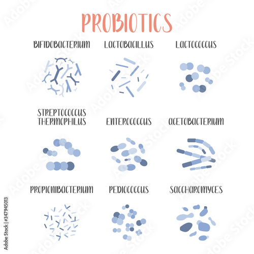 Probiotics. Lactic acid bacteria. Good bacteria and microorganisms for gut and intestinal flora health. Microbiome. Bifidobacterium, lactobacillus,  lactococcus, thermophilus streptococcus. Vector set