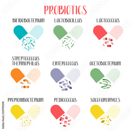 Probiotics. Lactic acid bacteria. Good bacteria and microorganisms for gut and intestinal flora health. Microbiome. Bifidobacterium, lactobacillus,  lactococcus, thermophilus streptococcus. Vector set