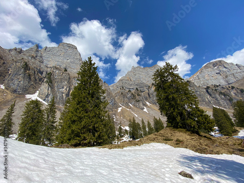 Alpine peaks Zuestoll, Schibenstoll and Hinterrugg (Hinderrugg) in the Churfirsten mountain range, Walenstadtberg - Canton of St. Gallen, Switzerland (Kanton St. Gallen, Schweiz) photo