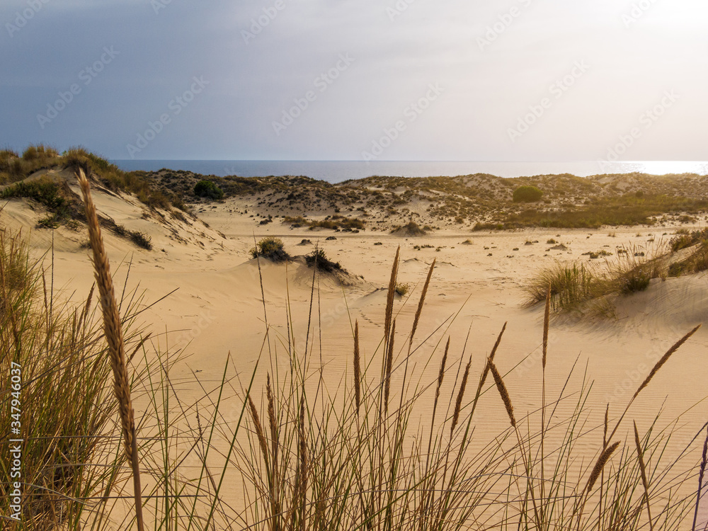 Dunes next to the ocean in Doñana national park in huelva, Andalusia, Spain.