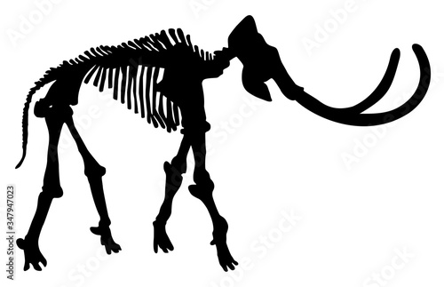 silhouette of a mammoth skeleton vector