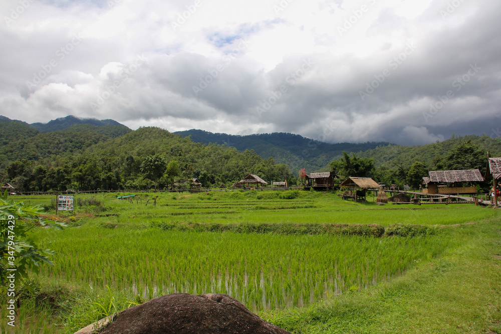 Rice field with huts and vegetation in Pai, Thailand