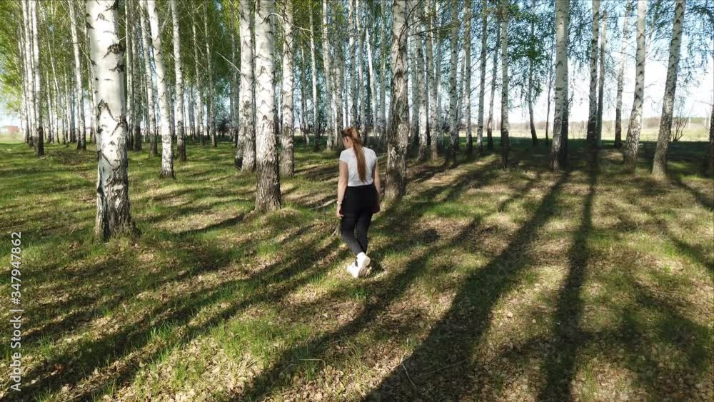 A girl walks in a birch grove in the summer. Birch alley landscape. A girl walks in a birch grove in the summer. Birch alley landscape.