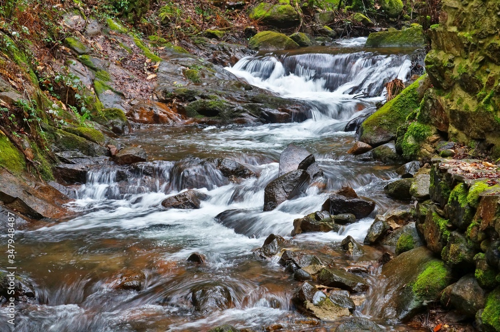 beautiful creek of Ribeira da Azenha near Espinhal in the forest between moss and stones beautiful creek of Ribeira da Azenha near Espinhal in the forest between moss and stones