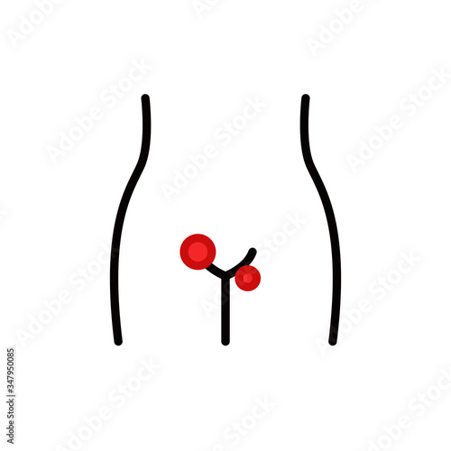 genital herpes in women line icon, vector illustration photo