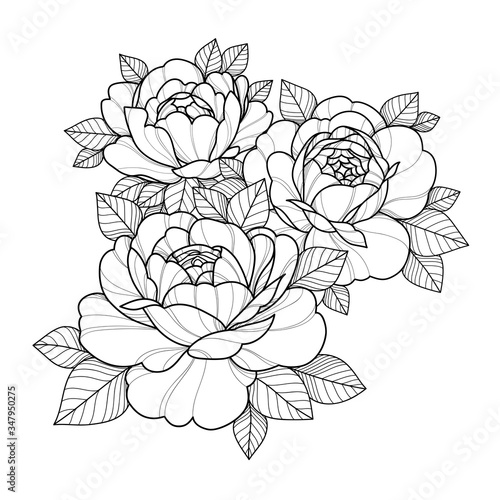 Hand drawing flowers for greeting card, invitation, Henna drawing and tattoo template. Vector illustration