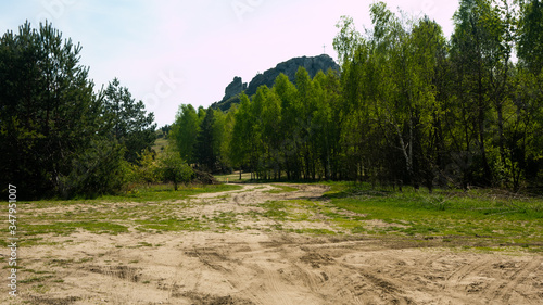 Wallpaper Mural 
View of the Sokolich Mountains Reserve. Free entry space. Torontodigital.ca