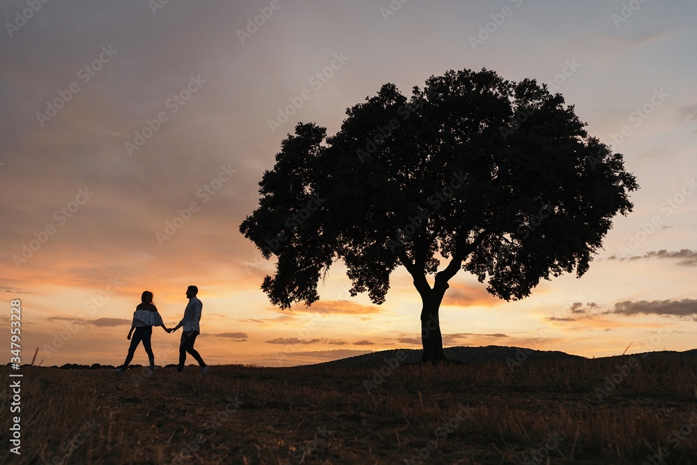 Silhouettes of unrecognizable man and woman holding hands and standing under tree against cloudy sundown sky during romantic date in nature Silhouettes of unrecognizable man and woman holding hands and standing under tree against cloudy sundown sky during romantic date in nature