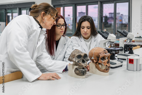 Scientists examining skull in lab photo