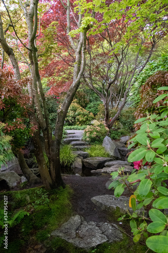 A picture of the pathway in the Japanese garden.   Vancouver  BC  Canada    