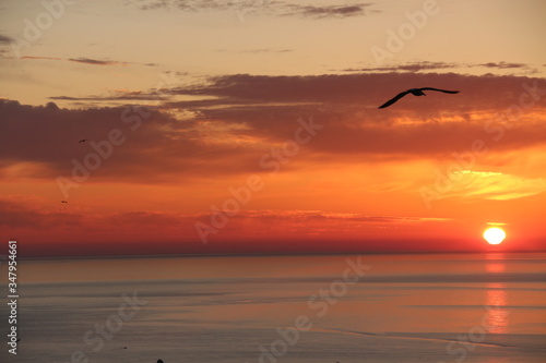 - Seagulls flys to start the day. - While the sun is rising. Red Sky © OSMAN