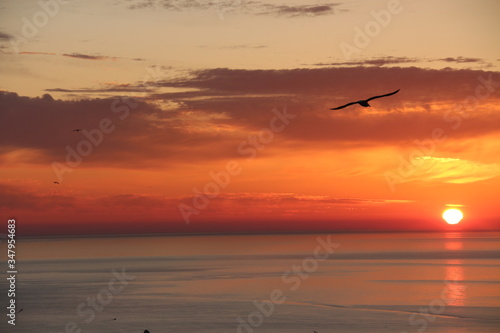 - Seagulls flys to start the day. - While the sun is rising. Red Sky