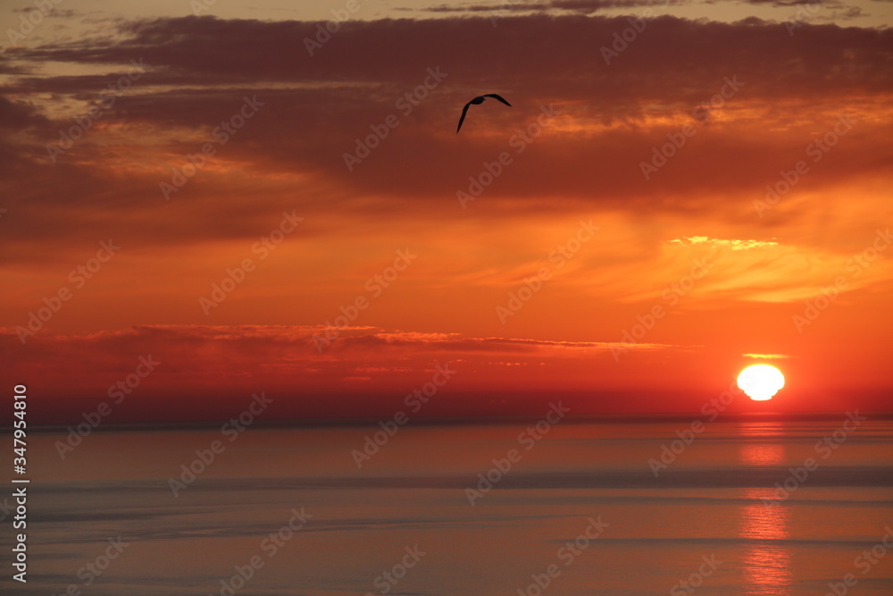 - Seagulls flys to start the day. - While the sun is rising. Red Sky