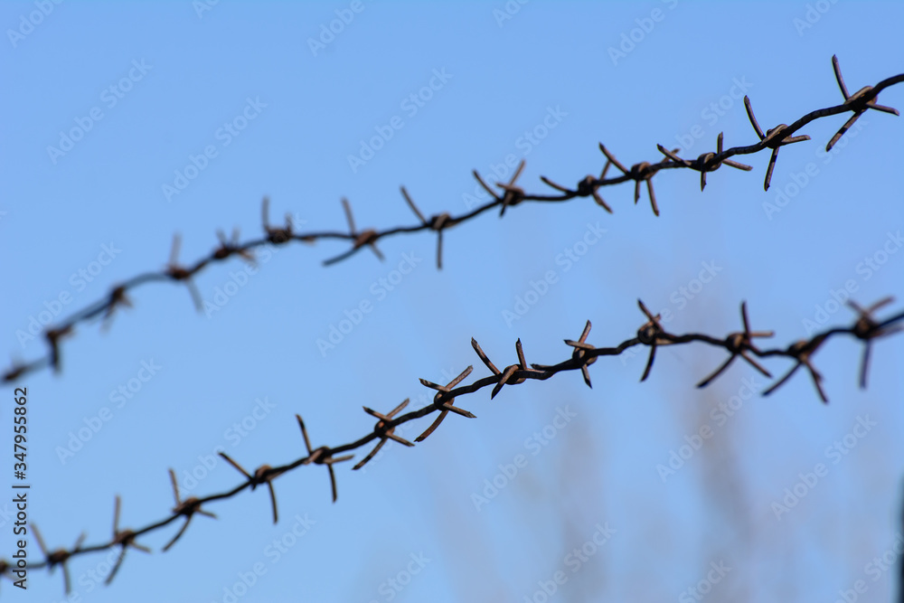 Against the blue sky, black is dominated by barbed wire. Concept - isolation, imprisonment