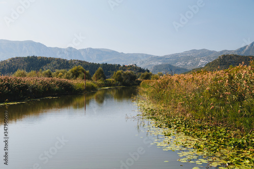 A beautiful view at Lake Skadar  small river to Virpazar village surrounded by cane  and Dinaric Alps in Montenegro  National Park  famous tourist attraction.
