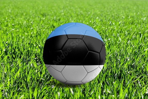 Estonia Flag on Soccer Ball