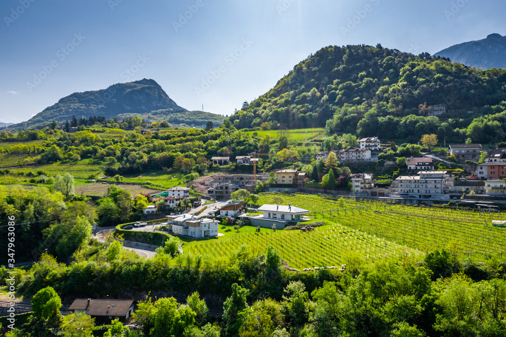 Aerial view of improbable green vineyards around the wine-making farm, meadows of Italian Alps, Trentino, green slopes of the mountains, roof tops of houses, sunny weather, drone is immobilized 