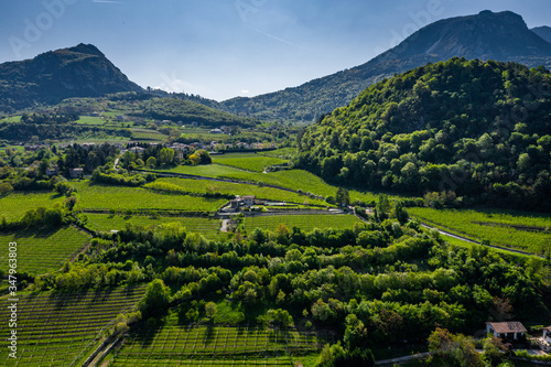 Aerial view of improbable green vineyards around the wine-making farm, meadows of Italian Alps, Trentino, green slopes of the mountains, roof tops of houses, sunny weather, drone is immobilized 