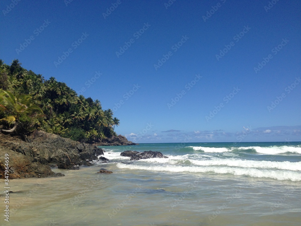 beach and rocks