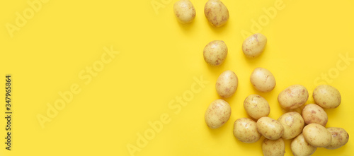 Young fresh potatoes on a yellow background.
