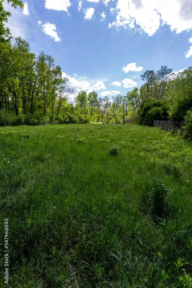 Beautiful meadow in the forest near the village Ocsa, Hungary