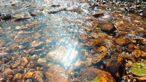 Water flowing above the pebbles at Harnav river in Polo Forest, Gujarat, India photo