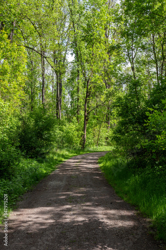 Nature trail in the forest near the village Ocsa, Hungary