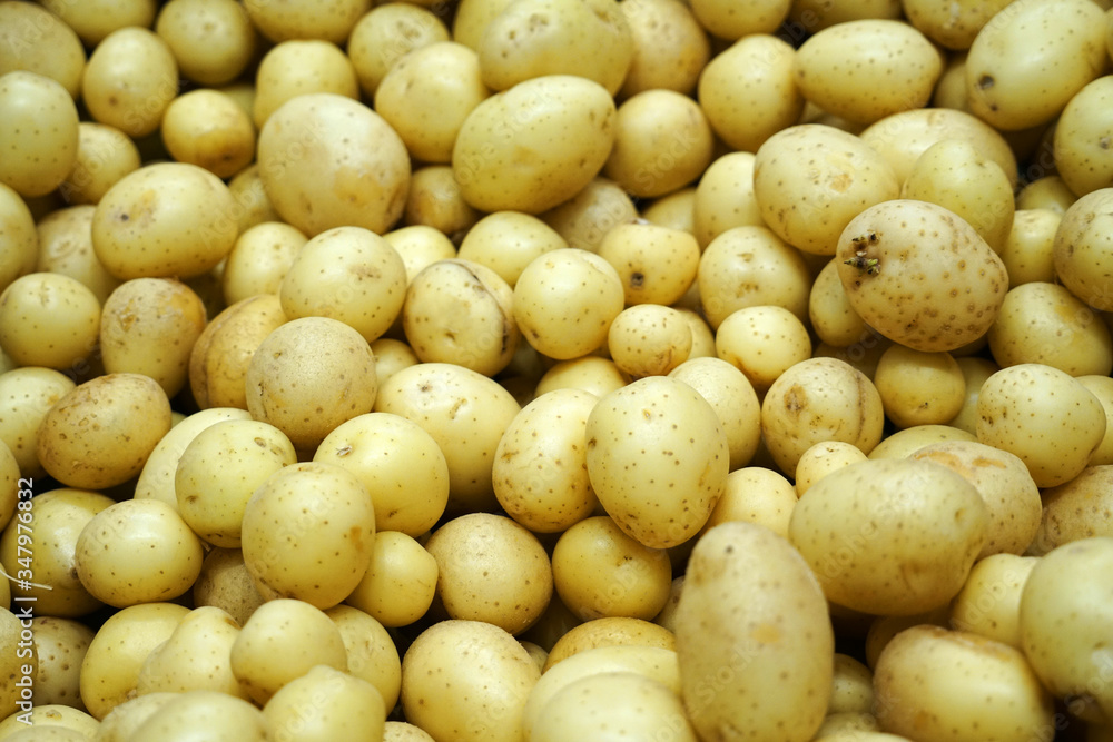 Fresh potatoes in the supermarket for sale Fresh potatoes in the supermarket for sale