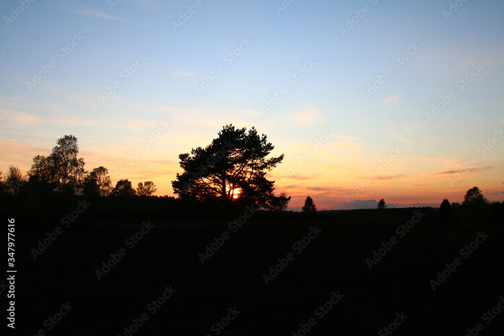 Goldener Sonnenuntergang in einer tollen Wolkenlandschaft in der Lüneburger Heide