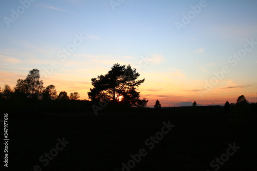 Goldener Sonnenuntergang in einer tollen Wolkenlandschaft in der L  neburger Heide