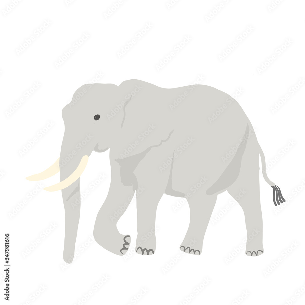 Fototapeta premium cute hand drawn elephant vector illustration.