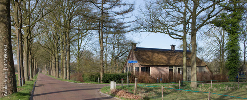 Colony houses Maatschappij van Weldadigheid Frederiksoord Netherlands. Koloniehuisje. Panorama. and lane