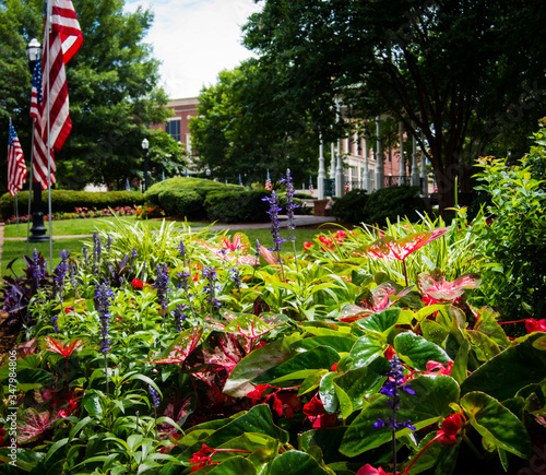 Flower bed and pavillon at Marietta Square in Georgia decorated for Independence Day photo