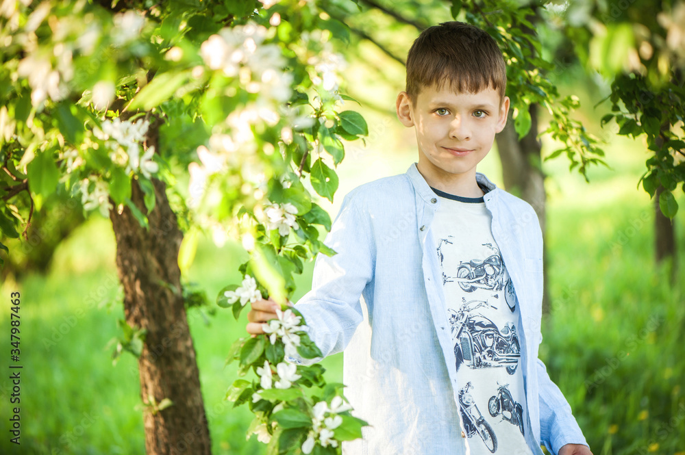 cute happy boy of 9 years old in a white stylish shirt. boy holds a twig of apple trees cute happy boy of 9 years old in a white stylish shirt. boy holds a twig of apple trees