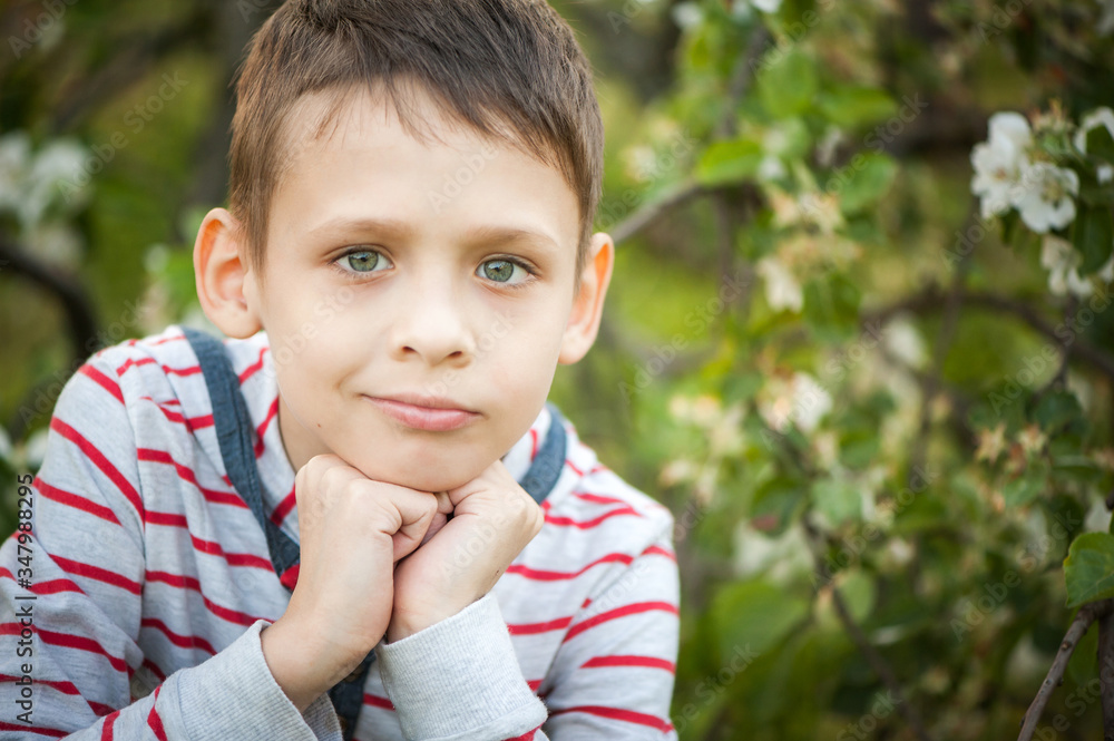 A boy in an apple orchard with white flowers, close-up A boy in an apple orchard with white flowers, close-up