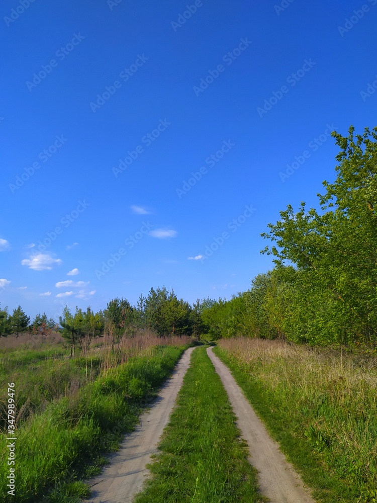 road in the countryside