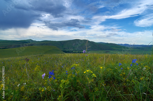 Rain clouds over the steppe covered with flowers and grass. Zabaykalsky Krai. Russia.