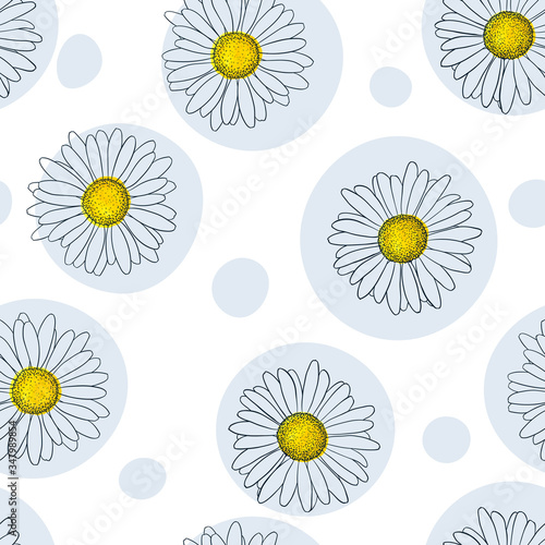 beautiful seamless pattern with outline daisy flowers and dots, polka. for greeting cards and invitations of the wedding, birthday, Valentine's Day, mother's day and other seasonal holiday