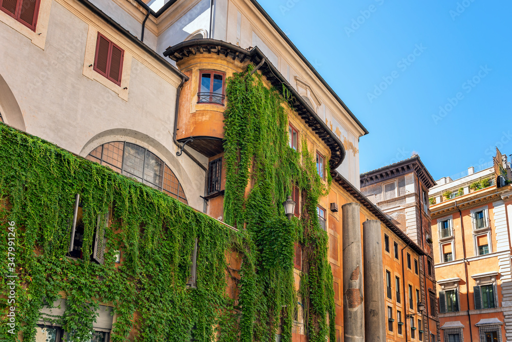 Plants hanging on the building wall in Rome, Italy.