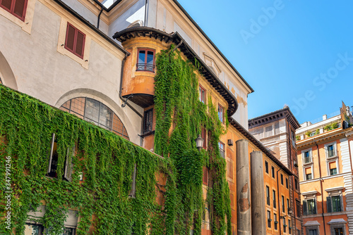 Fototapeta Naklejka Na Ścianę i Meble -  Plants hanging on the building wall in Rome, Italy.