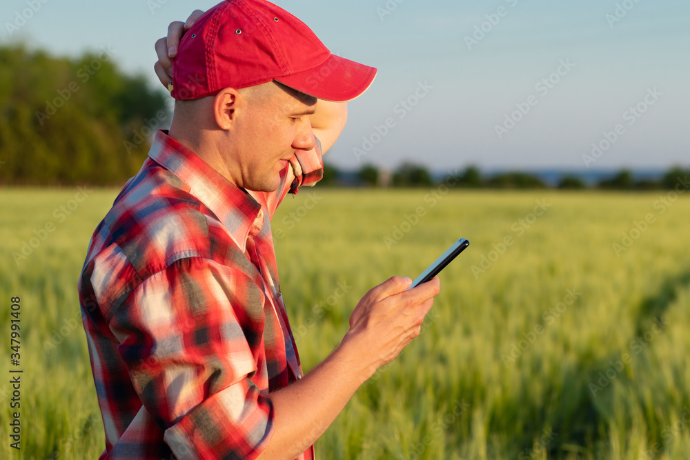 Worried farmer or agronomist standing in the wheat field holding a smartphone and examining the yield quality. Worried farmer or agronomist standing in the wheat field holding a smartphone and examining the yield quality.